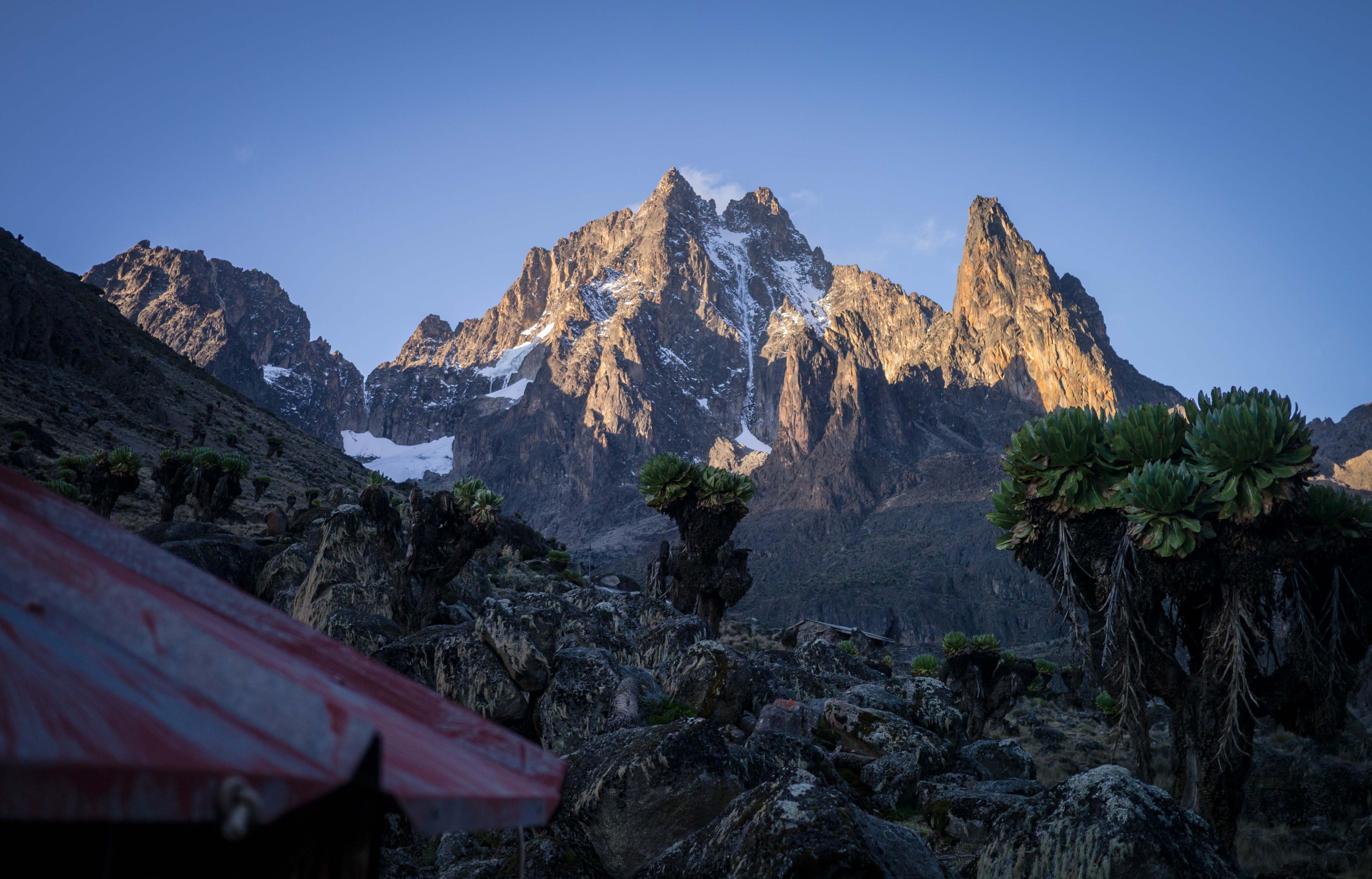 Alps And The Dangerous Forest Ulmf